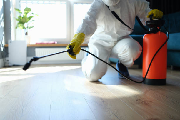 Reliable Biohazard contractor in North Fork, CA by Trauma Clean Pros